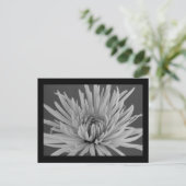 白黒スパイダーママ葉書 ポストカード (スタンド正面)