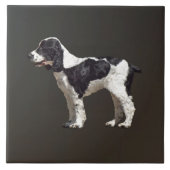 白黒スパニエル犬 タイル (正面)
