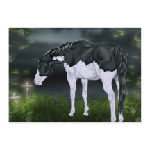 白黒スプラッシュフレーム絵を描ホースプリント
