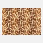 白黒ゼブラプリント動物サファリ ラッピングペーパーシート (正面2)