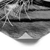 白黒タイガー顔 ポスター (角)