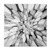 白黒タイ染料 タイル (正面)