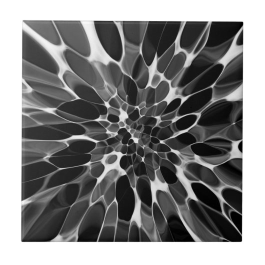 白黒タイ染料 タイル (正面)