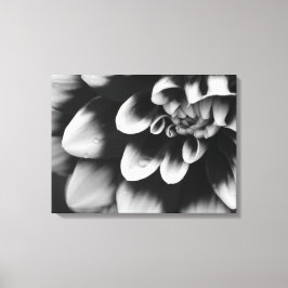 白黒ダリア花咲 キャンバスプリント