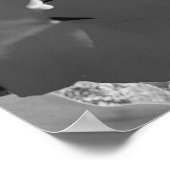 白黒チューリップ ポスター (角)