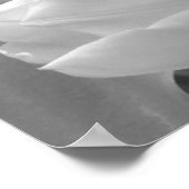 白黒チューリップ ポスター (角)