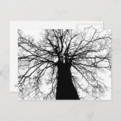 白黒ツリーシルエット – ポストカード (正面/裏面)