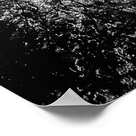 白黒ツリーファインアート撮影 ポスター (角)