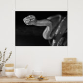 白黒ツリーボア ポスター (キッチン)