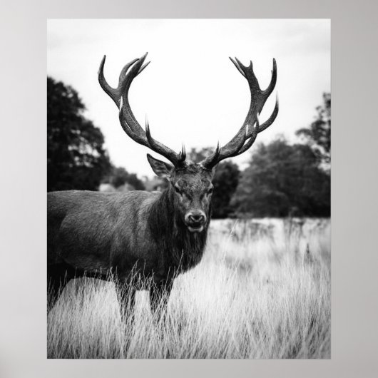 白黒ディアキャビンDecorフォレストウッドランド ポスター (正面)