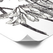 白黒デイジーフラワーガーデンスケッチ ポスター (角)