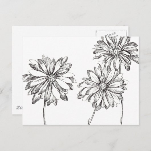 白黒デイジーフラワーブーケスケッチ ポストカード (正面/裏面)