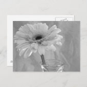 白黒デイジー ポストカード (正面/裏面)