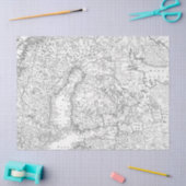 白黒デジタルマップシリーズデザイン12 薄葉紙 (クラフト)