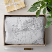 白黒デジタルマップシリーズデザイン2 薄葉紙 (ギフト)