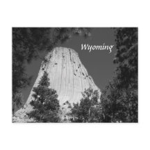 白黒デビルズタワー