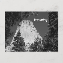 白黒デビルズタワー ポストカード