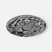 白黒トラの顔 ペーパープレート (アングル)