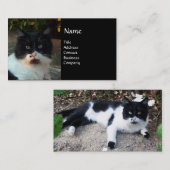 白黒トルコ猫ピエロ 名刺 (正面/裏面)