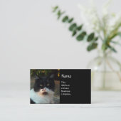 白黒トルコ猫ピエロ 名刺 (スタンド正面)