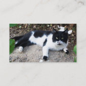 白黒トルコ猫ピエロ 名刺 (裏面)