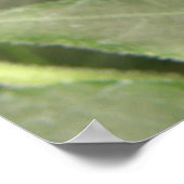 白黒トロピカルバタフライプリント ポスター (角)