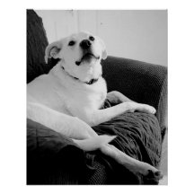 白黒トーキングドッグプリント