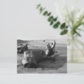 白黒ドリフトウッドビーチ写真はがき ポストカード (スタンド正面)