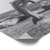 白黒ドルフィントロピカルプリントアート ポスター (角)