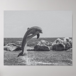 白黒ドルフィントロピカルプリントアート ポスター
