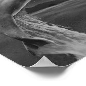 白黒ドルフィントロピカルプリントアート ポスター (角)