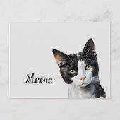 白黒ニャー ポストカード (正面)
