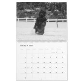 白黒ニューファンドランド写真 カレンダー (1月 2027)