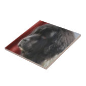 白黒ニューファンドランド犬 タイル (側面)