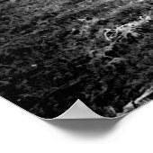 白黒ハイランド牛 ポスター (角)