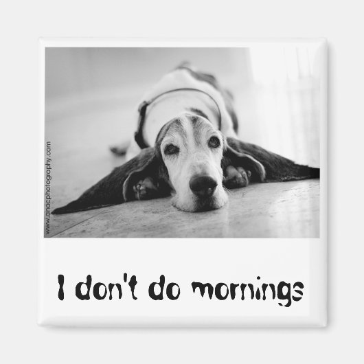 白黒バセットハウンドマグネット マグネット (正面)