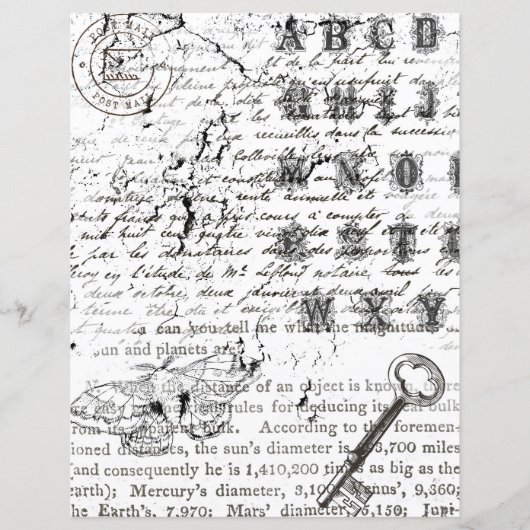 白黒バタフライコラージスクラップブック紙 (正面)