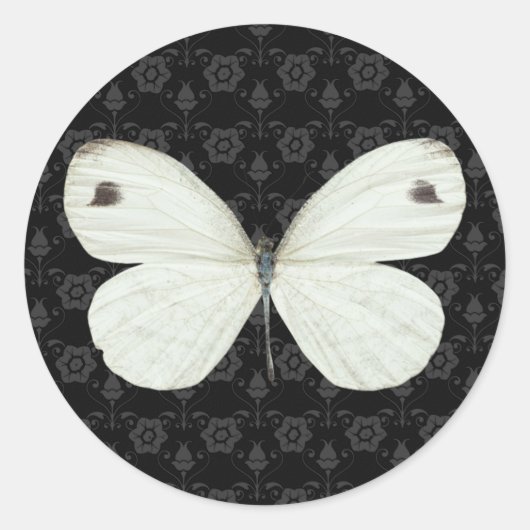 白黒バタフライステッカー ラウンドシール (正面)