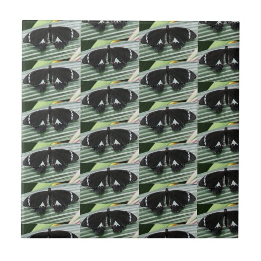 白黒バタフライセラミックタイル タイル (正面)