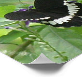 白黒バタフライプリント ポスター (角)