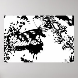 白黒バタフライポスター ポスター