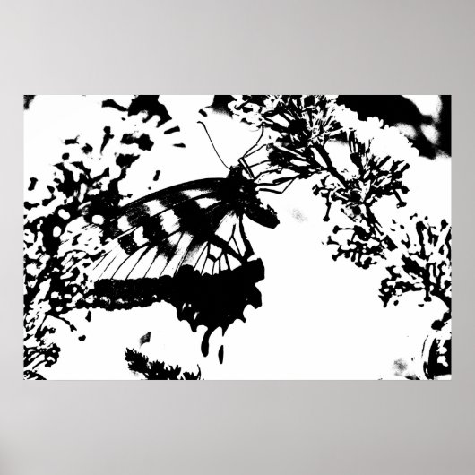 白黒バタフライポスター ポスター (正面)