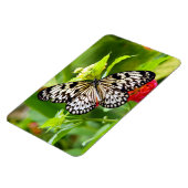 白黒バタフライ磁石 マグネット (左側)