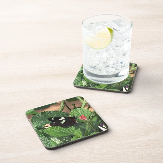 白黒バタフライ美しい コースター (右側)