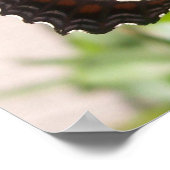 白黒バタフライ49 ポスター (角)