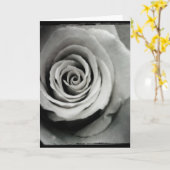 白黒バラのブランクの挨拶状 カード (黄色い花)