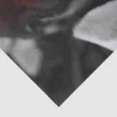 白黒バラは衰退します 薄葉紙 (詳細)