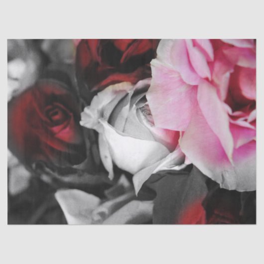 白黒バラは衰退します 薄葉紙 (正面)