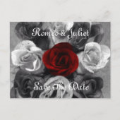 白黒バラ日付ポストカードの保存 案内ポストカード (正面)