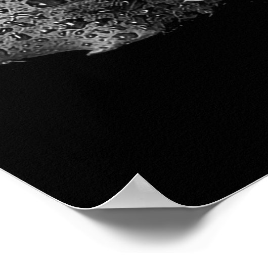 白黒バラ ポスター (角)